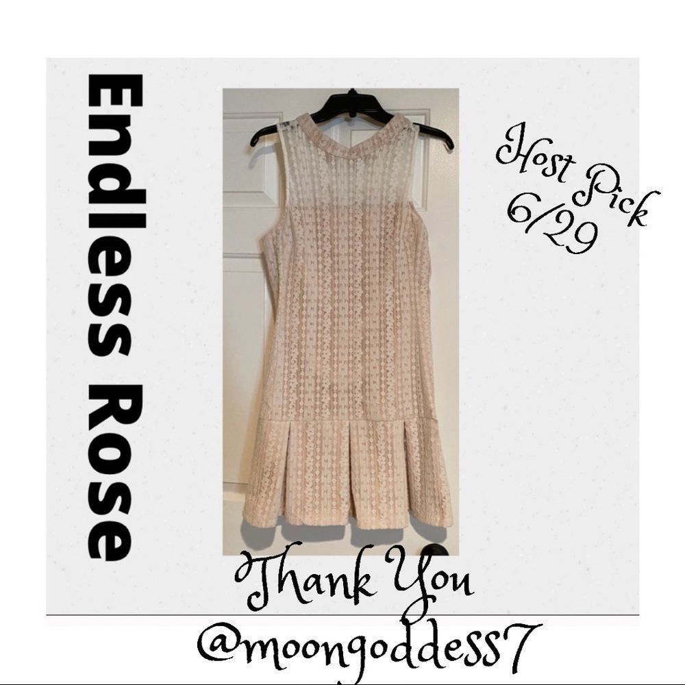 Endless Rose Dress NWT